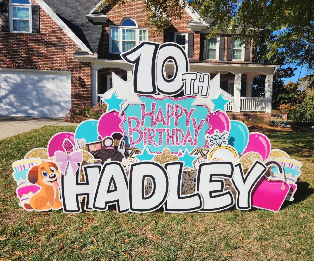 Happy 10th Birthday Hadley Puppies Dress Up Pink Teal